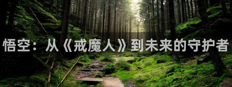 奇漫屋漫画官网：悟空：从《戒魔人》到未来的守护者