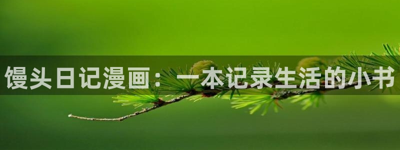 奇漫屋漫画大全：馒头日记漫画：一本记录生活的小书